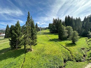 Miscellaneous - Comfortable ski-in apartment for 8 people (Morillon Village)