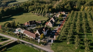 Vista aérea de un barrio residencial con casas, una piscina y una carretera.