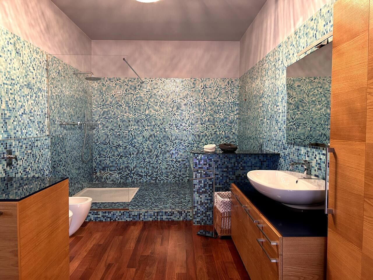 Shower, hair dryer, bidet, towels