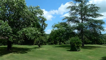 Área da propriedade