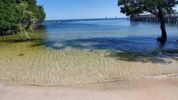 Plage à proximité