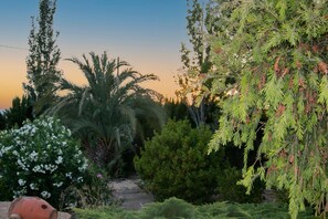 A garden with various plants and a clay pot. - Rural House 'Cavila' with Lake Views, Wi-Fi and Air Conditioning (Pliego)