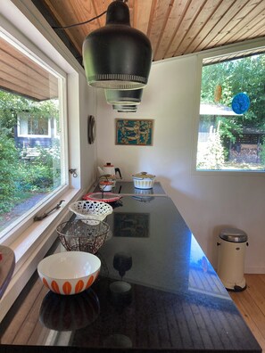 Interior - 1960s nostalgic vacation idyll (3630 Jægerspris)