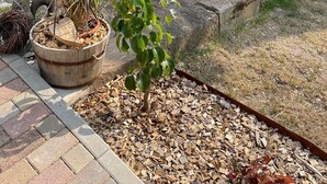 Un patio con mesa y sillas, una planta en maceta y un pequeño árbol.