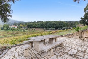 A stone bench with a view of a vineyard and a hill in the background.