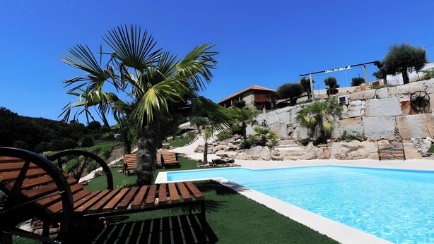 A pool area with wooden loungers, a palm tree, and a stone wall.