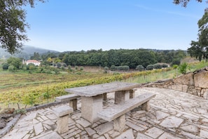 A stone bench with a view of a vineyard and a hill in the background.