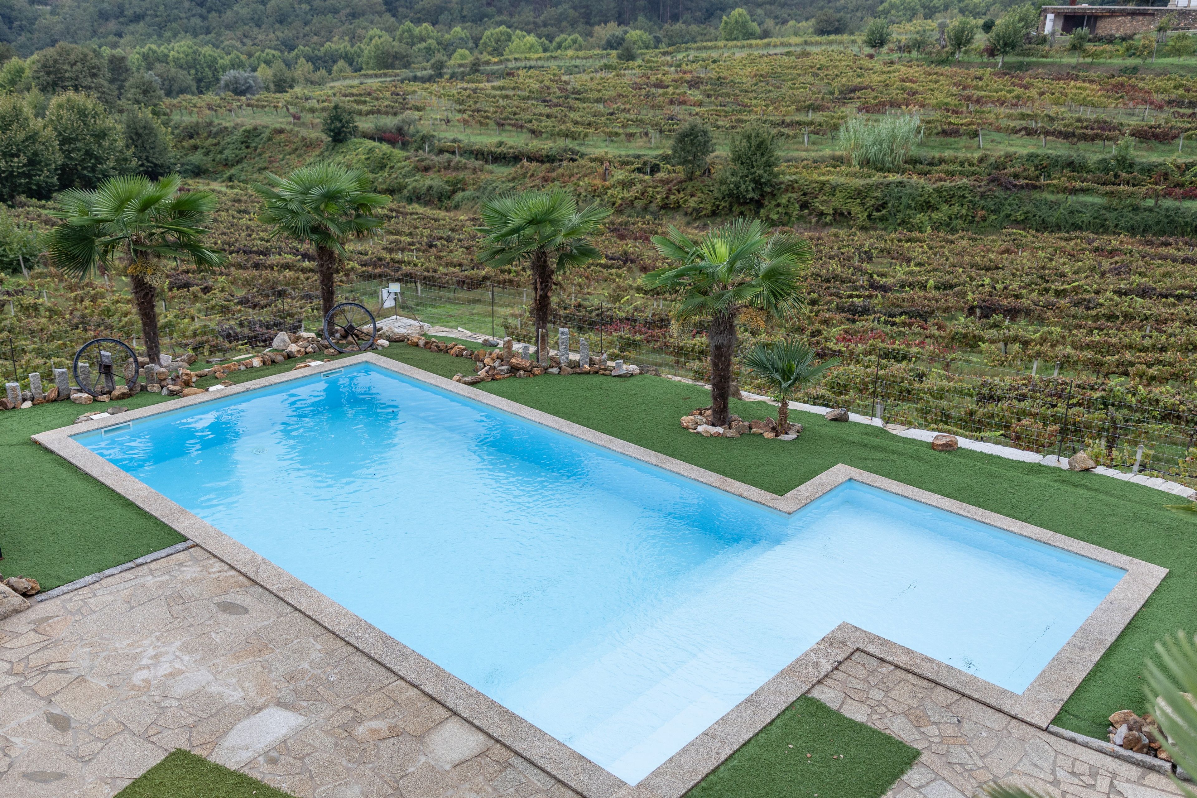 Ein rechteckiger Swimmingpool mit Steinrand, umgeben von Kunstgrün und Palmen.