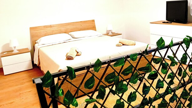 A hotel room with a wooden bed, white linens, a TV on a bedside table, and a plant in a metal planter. - FLORENTINE'S HOUSE  (Catania)