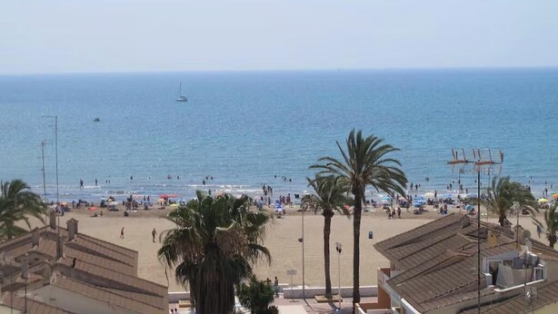 A beach with palm trees, a sandy shore, and a clear view of the sea. - Apartment very seafront beachfront Pobla Farnals beach (La Pobla de Farnals)
