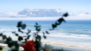 Uma praia com ondas, uma montanha ao fundo e alguma vegetação em primeiro plano.