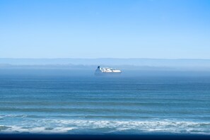 Apartment (0 Bedroom) | Interior