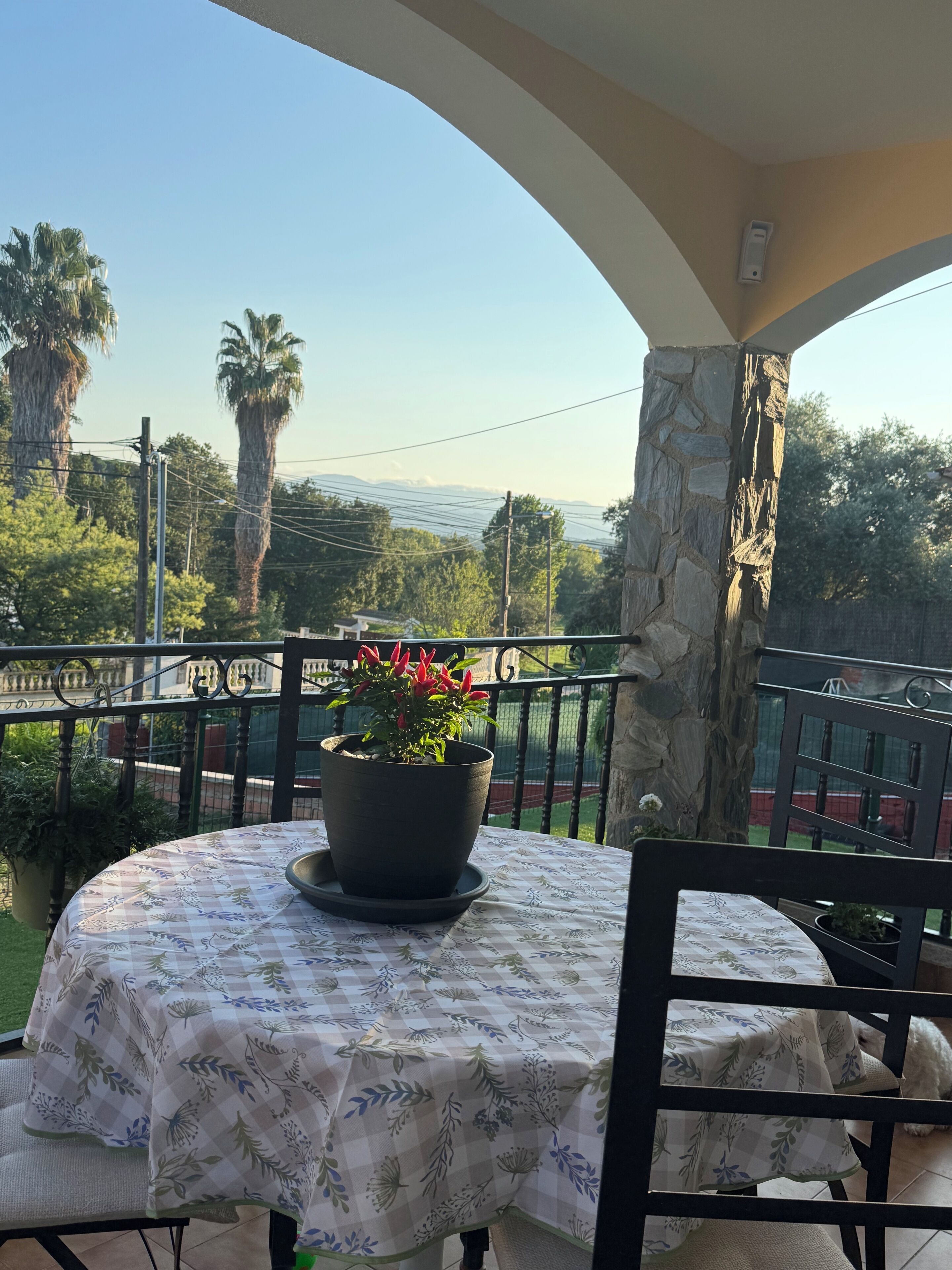 Restauration en plein air