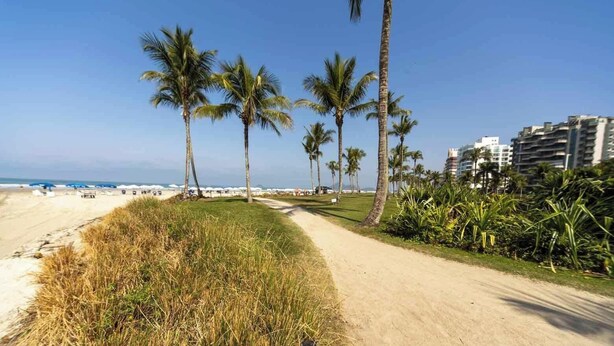 A beach path with palm trees, a sandy beach, and buildings in the background. - Apto em Riviera de São Lourenço a 300m da Praia (Bertioga)