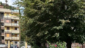 A paved pathway leading to a gated entrance with a tree and shrubbery on the right. - Cosy Studio Quick Metro Ride to Centre (Milan)