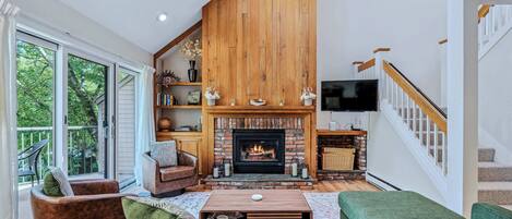 テレビ、暖炉、DVD プレーヤー、ステレオ