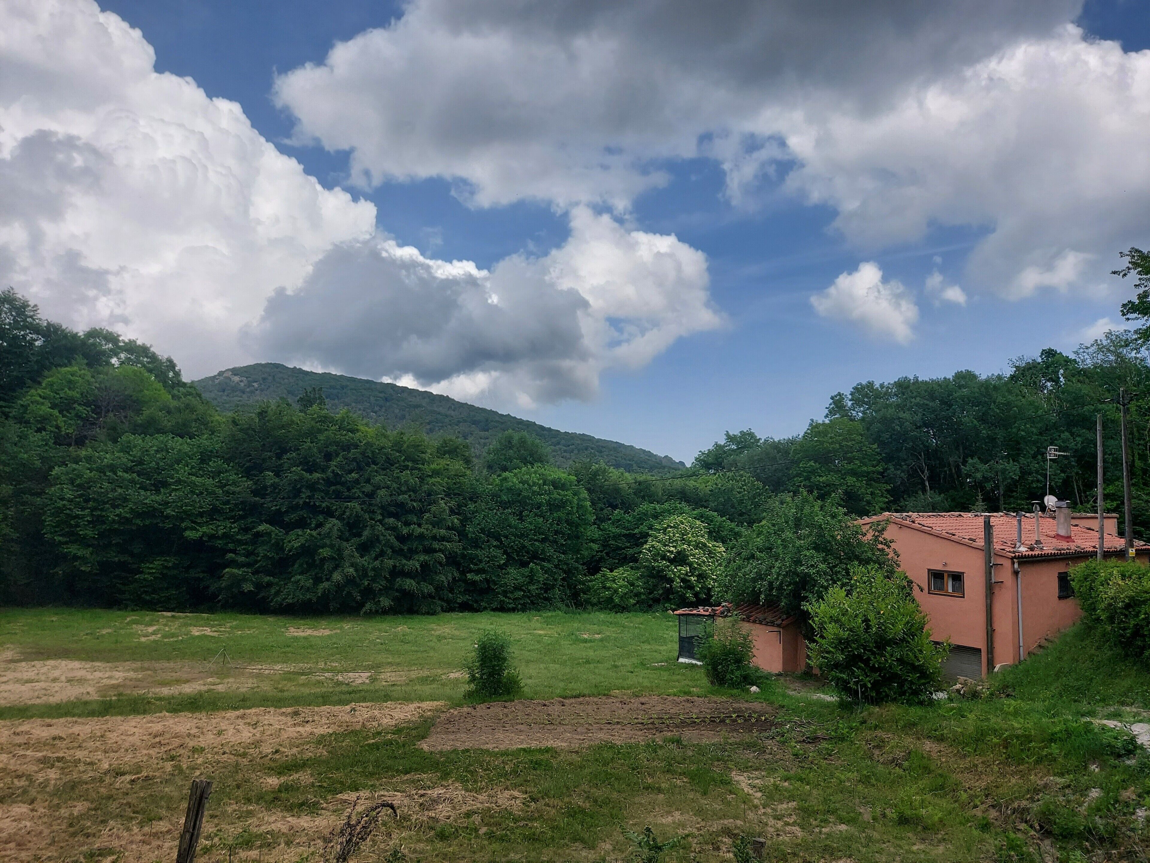 A rural landscape with a house, a field, and a hill in the background.