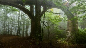 Miscellaneous - Holiday Home 'Masiacanfelix' with Wi-Fi (Barcelona)