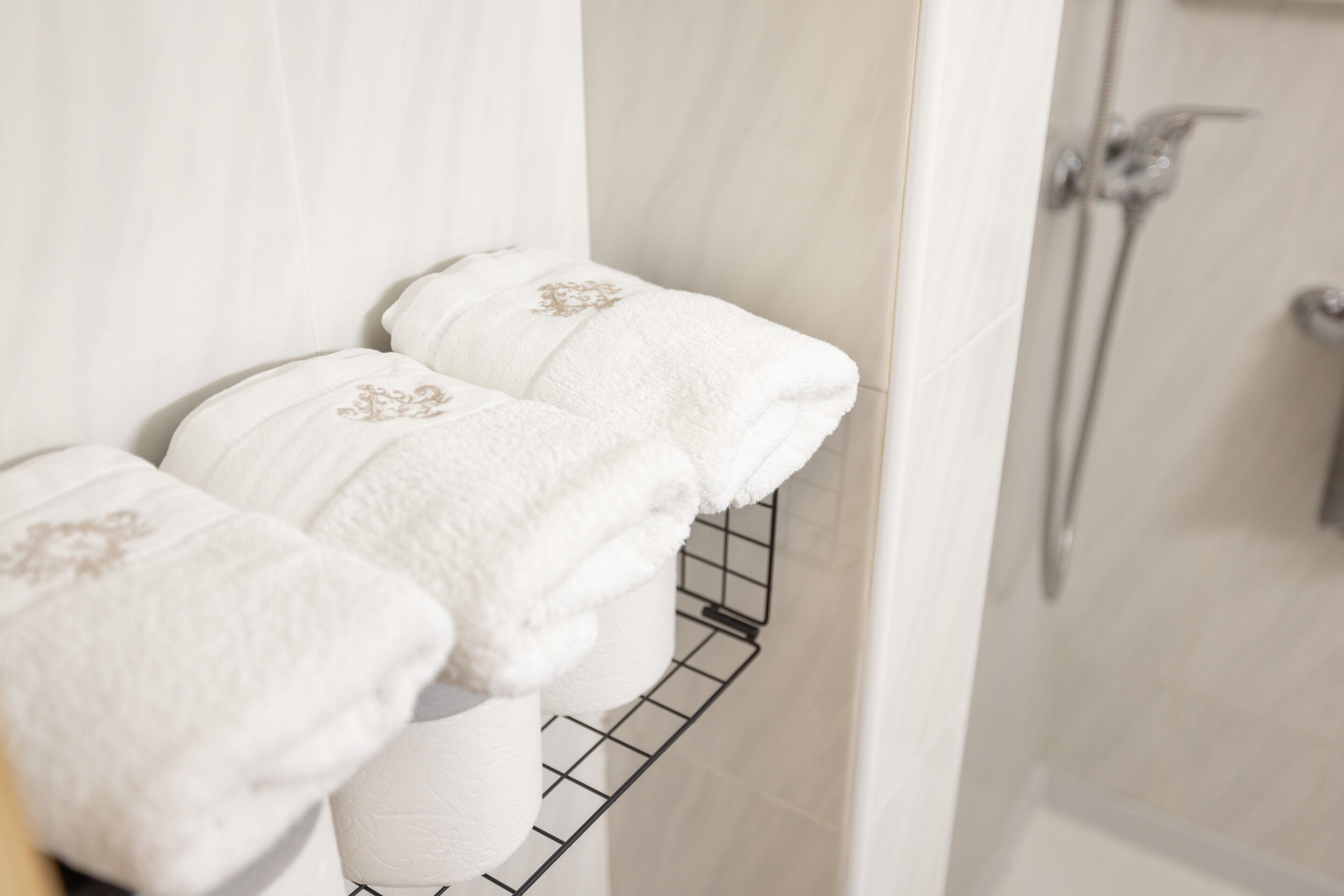 Doccia, set di cortesia gratuito, asciugacapelli, asciugamani