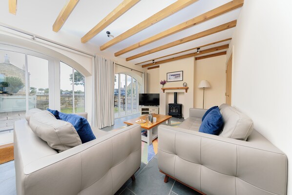 Smart TV, fireplace, books, stereo