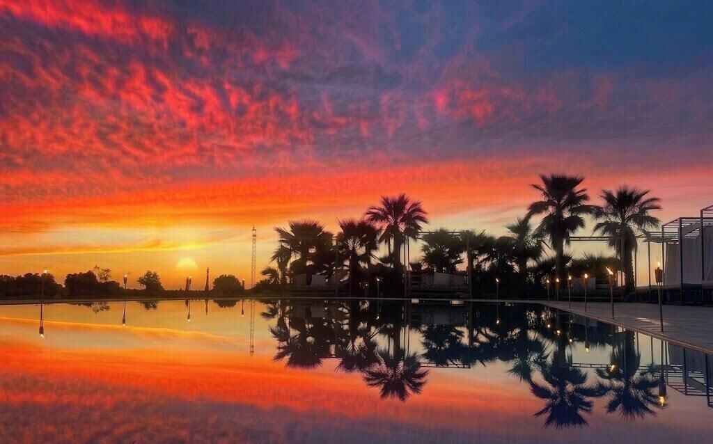 Un atardecer sobre un estanque reflectante con palmeras y un edificio moderno.