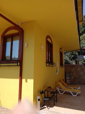Garden view