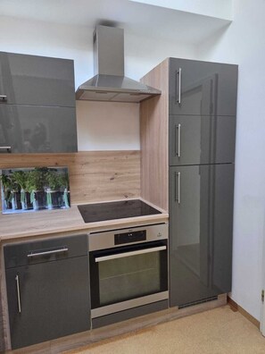 Fridge, oven, stovetop, dishwasher