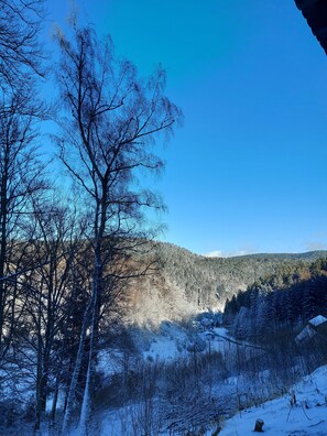 Paesaggio innevato con alberi e una montagna sullo sfondo.