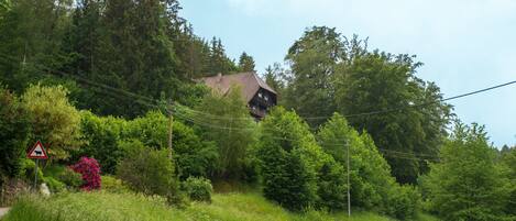 Eine Landstraße mit einem Haus, umgeben von dichtem Wald und einem Warnschild wegen Rinderüberquerung.