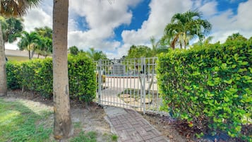 A gated entrance to a pool area with a paved path leading to it, surrounded by lush greenery and palm trees.
