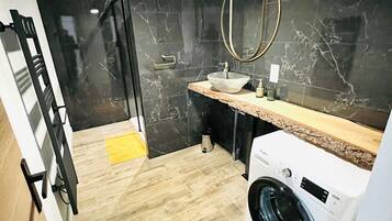 Shower, hair dryer, toilet paper