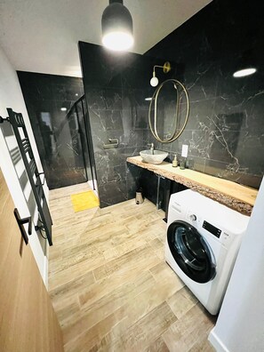 Shower, hair dryer, toilet paper