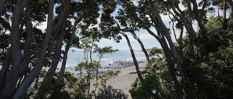 On the beach