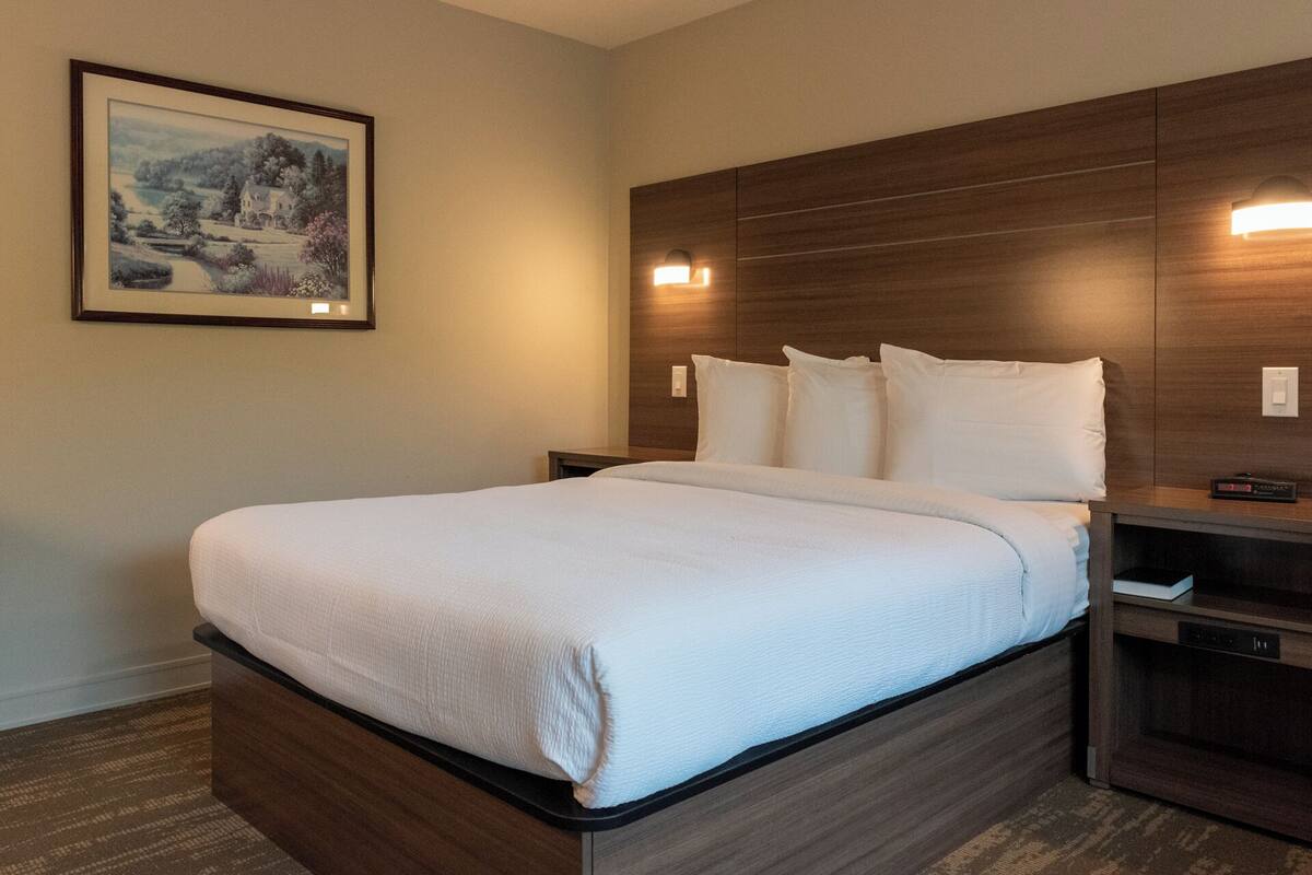 A hotel room with a large bed, a wooden headboard, a nightstand with a lamp, and a framed picture on the wall.