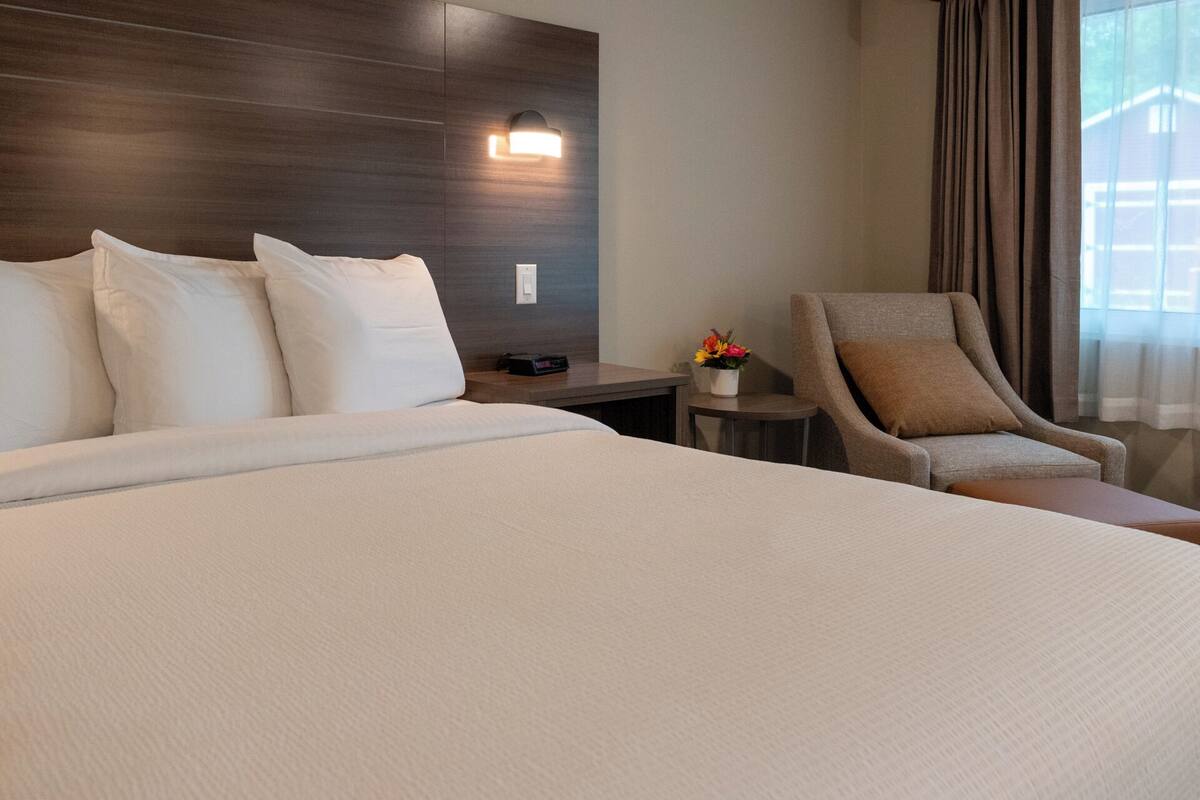 Superior Single Room, 1 King Bed, Courtyard View | Desk, laptop workspace, WiFi (free), bed sheets