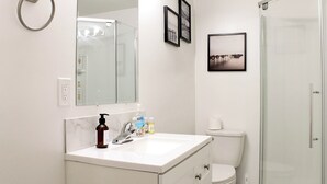 A bathroom with a white sink, a mirror, a toilet, and a glass shower enclosure. - Luxury 2 bedroom basement (Winnipeg)