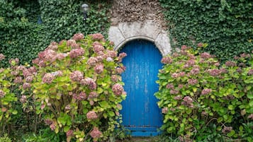 DĂ©tail de lâextĂ©rieur