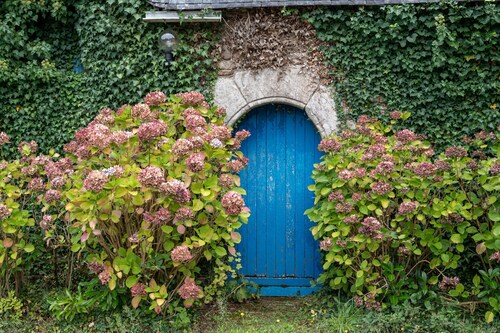 Chambre d'hôtes 'Perceval' avec terrasse partagée, jardin partagé et Wi-Fi
