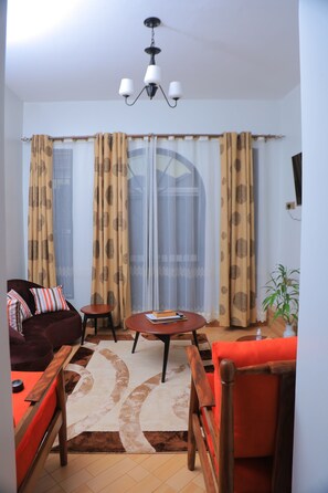 Smart TV, fireplace, books