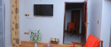 Smart TV, fireplace, books