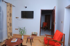 Smart TV, lareira, livros