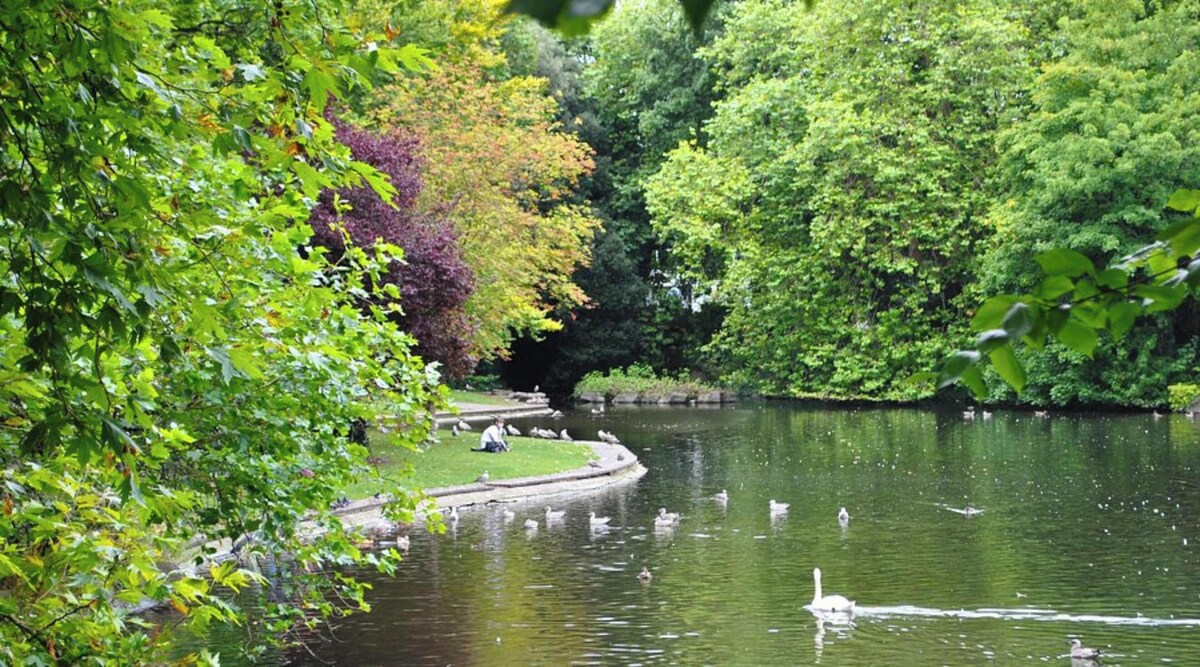 Bild für Gastgeberprofil