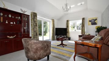 TV, videospill, DVD-spiller og bøker