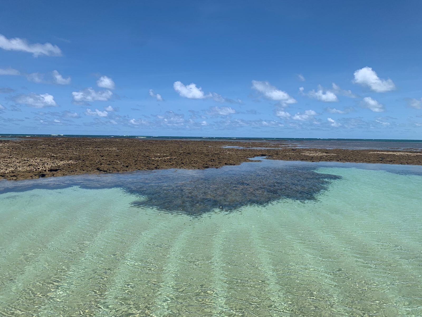 Un paysage côtier caractérisé par des eaux claires et peu profondes, un terrain rocheux et un horizon lointain.