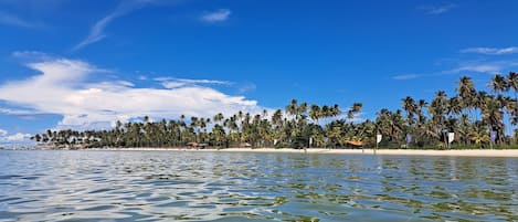 บนชายหาด, ทรายสีขาว, เก้าอี้อาบแดด, ร่มชายหาด
