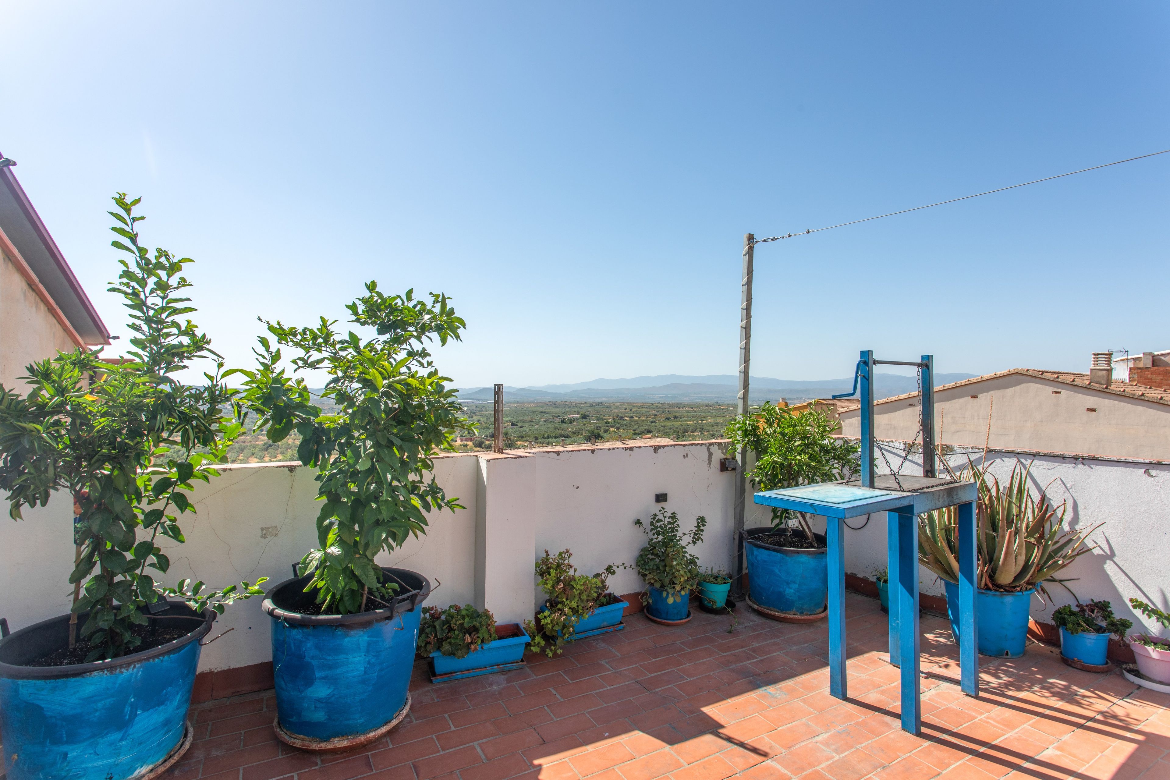 Una terraza en la azotea con plantas en macetas y una mesa metálica azul.