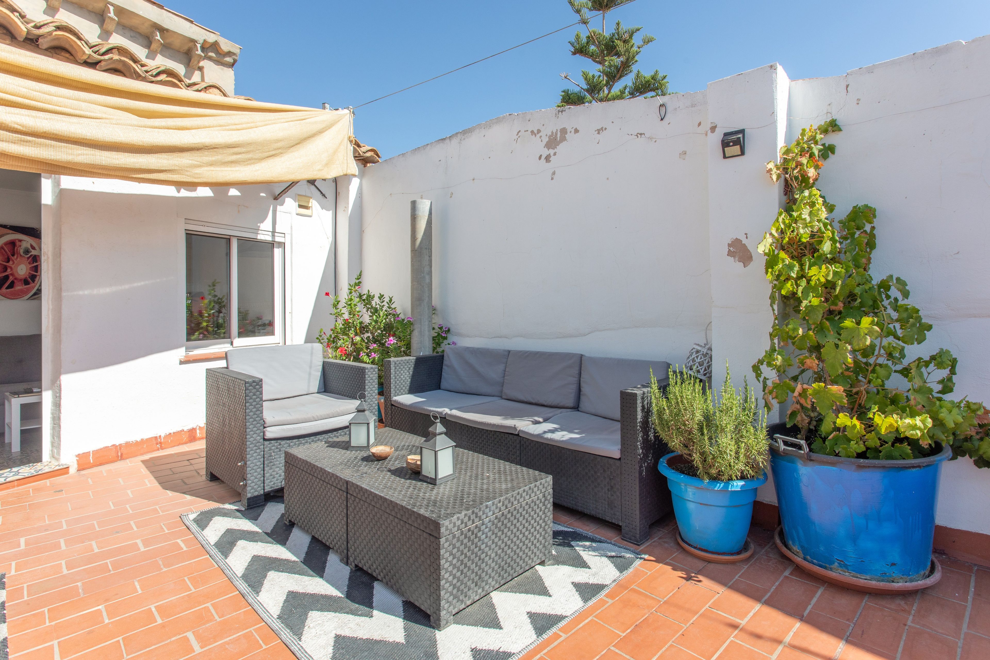 A patio with wicker furniture, a patterned rug, and potted plants.