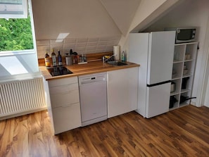 Fridge, microwave, stovetop, dishwasher