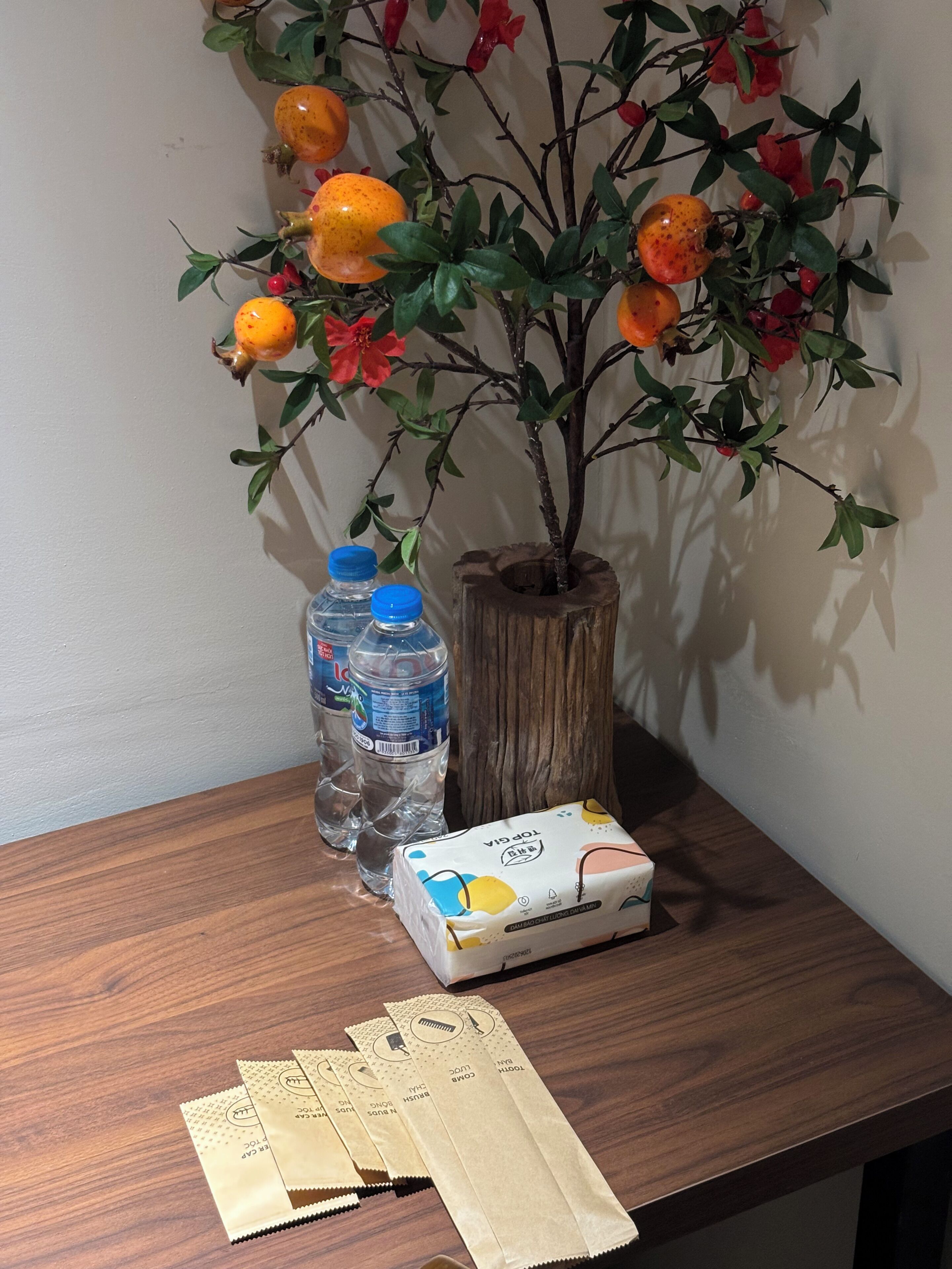A wooden table with a potted plant, water bottles, a box of tissues, and a pair of earplugs.
