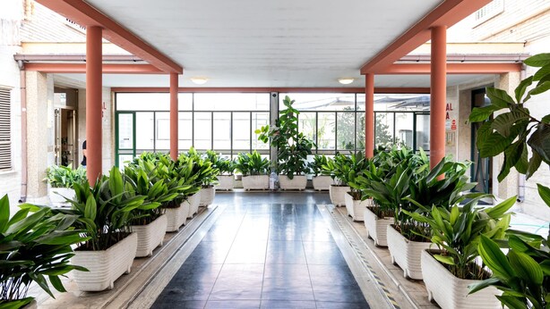 A covered corridor with potted plants on either side, large windows, and a tiled floor. - Superior Apartment with Balcony (ROMA)